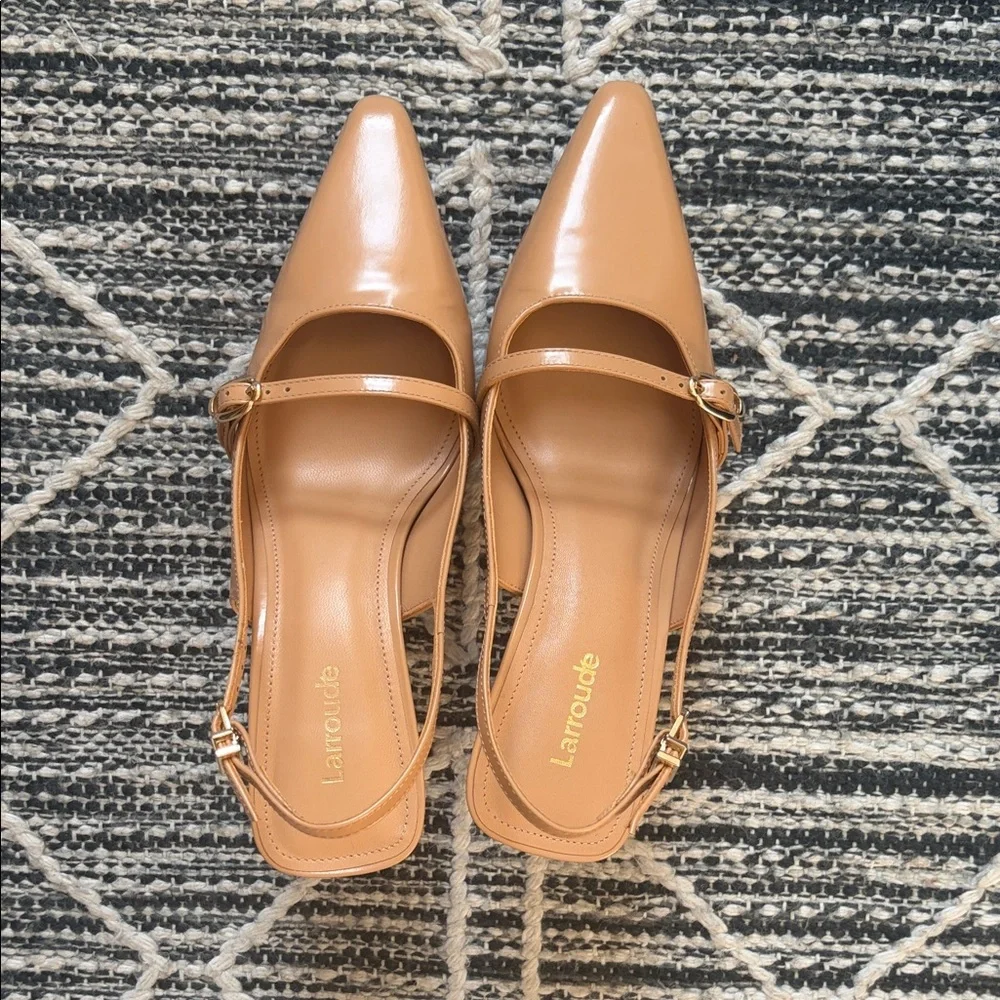 Larroude pumps